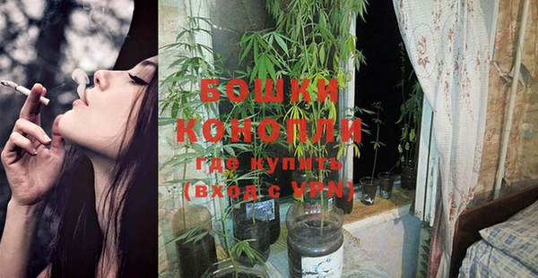 кокс Богданович
