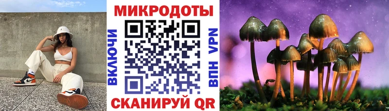 Галлюциногенные грибы Psilocybine cubensis  Гулькевичи 