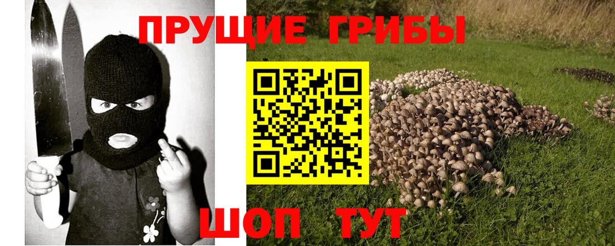 Галлюциногенные грибы ЛСД Гулькевичи