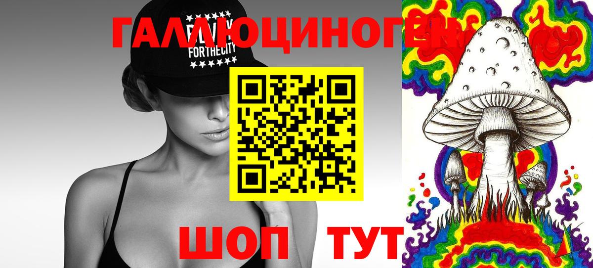 Галлюциногенные грибы MAGIC MUSHROOMS  Вход с VPN  Гулькевичи 