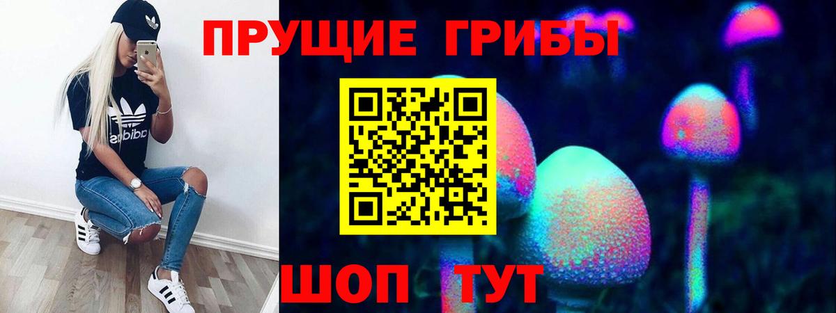 Галлюциногенные грибы GOLDEN TEACHER  Гулькевичи 